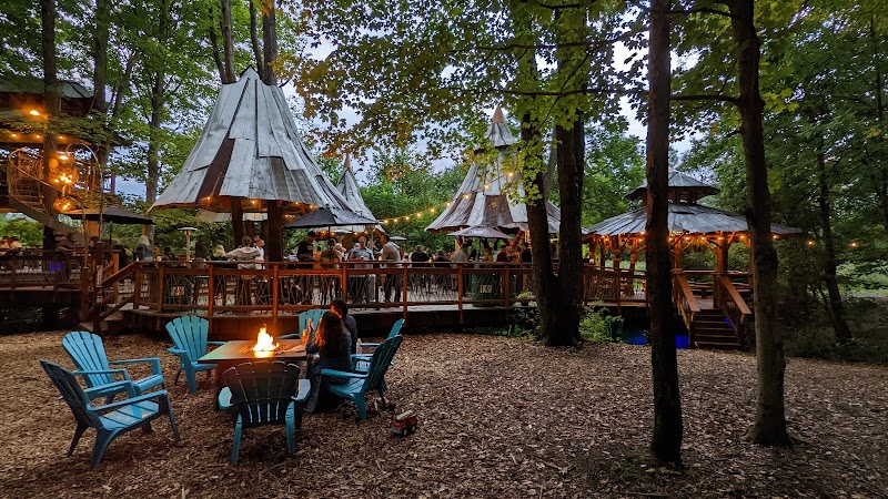 The Blueberry Treehouse Farm & The Treehouse Café photo 2