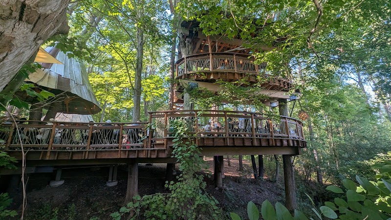 The Blueberry Treehouse Farm & The Treehouse Café photo 2