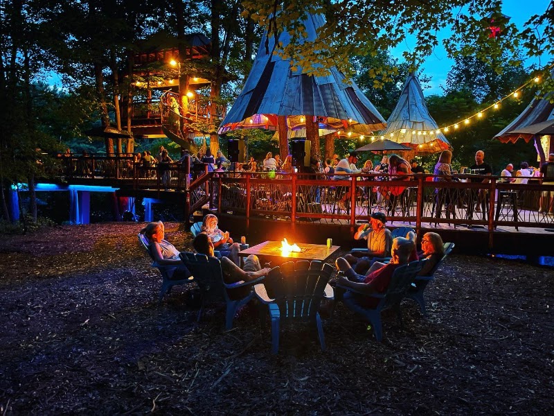 The Blueberry Treehouse Farm & The Treehouse Café photo 1