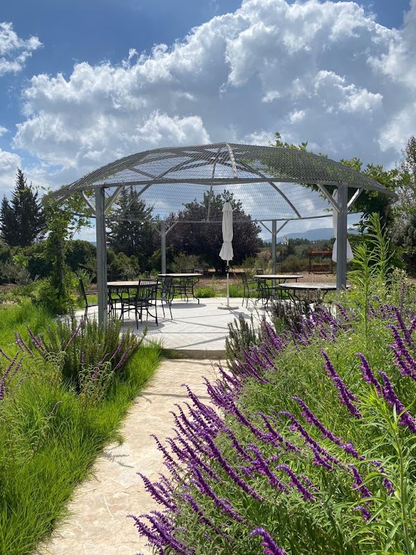 Galil Mountain Winery