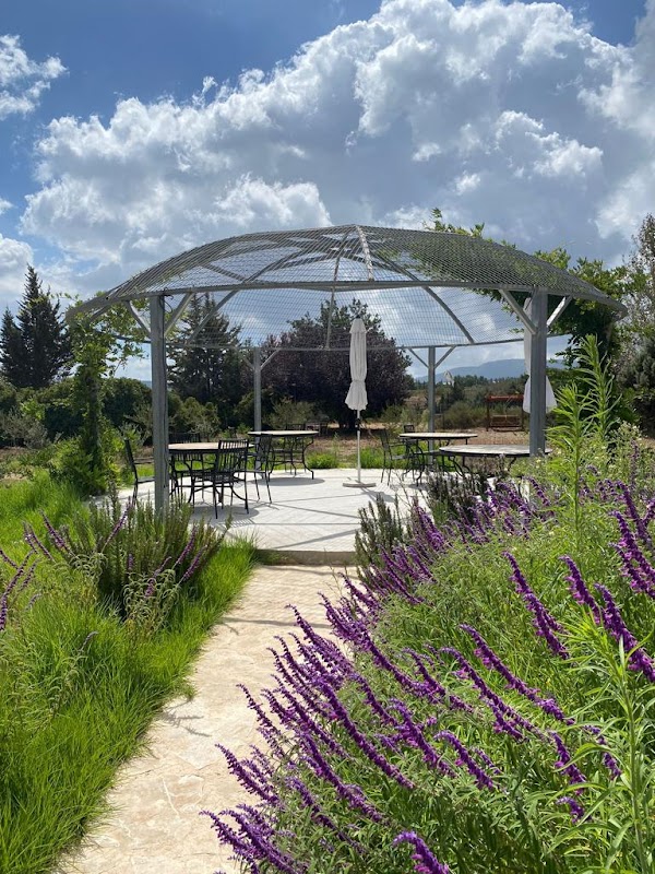 Galil Mountain Winery