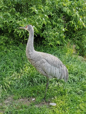 Westküstenpark & Robbarium