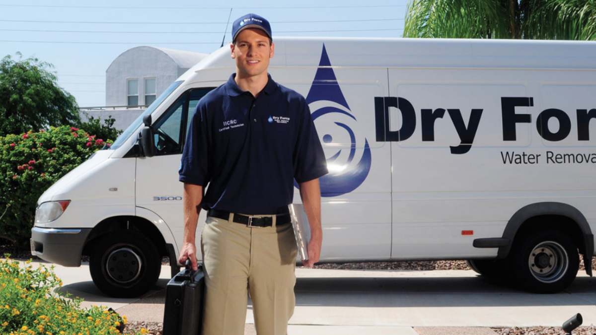 Dry Force Water Removal Specialists — photo