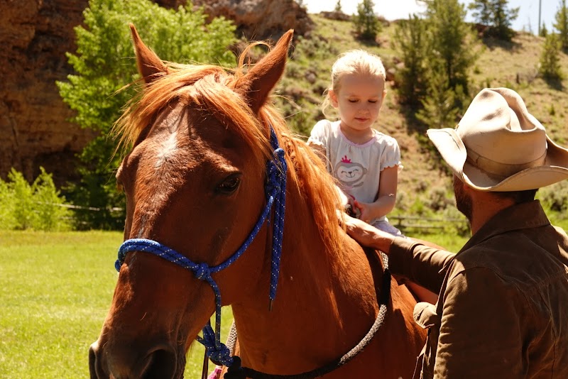 3 Spear Ranch - Photo 4