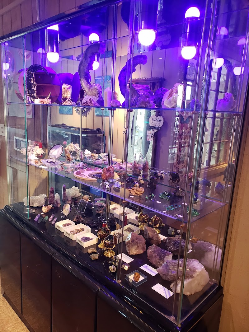 The Dream Willow photo 2