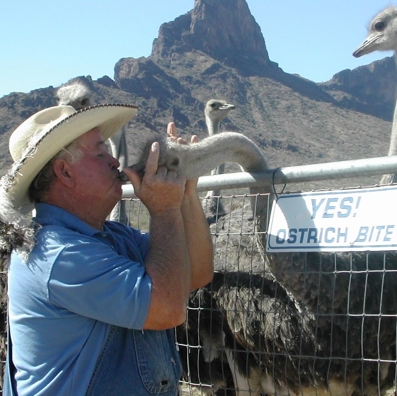 Rooster Cogburn Ostrich Ranch - Photo 2