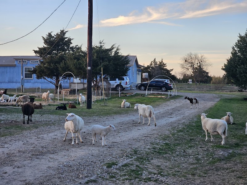 Green Family Farms of East Texas, LLC photo 3