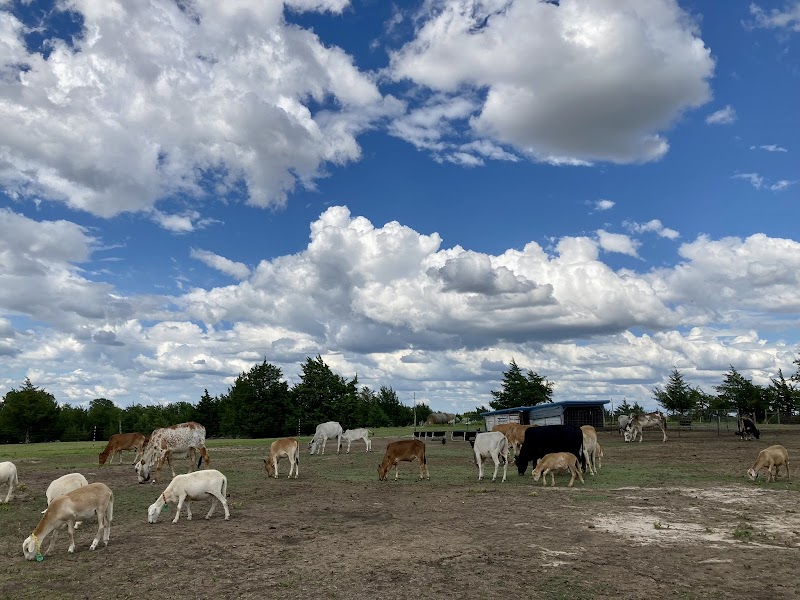 Green Family Farms of East Texas, LLC photo 2