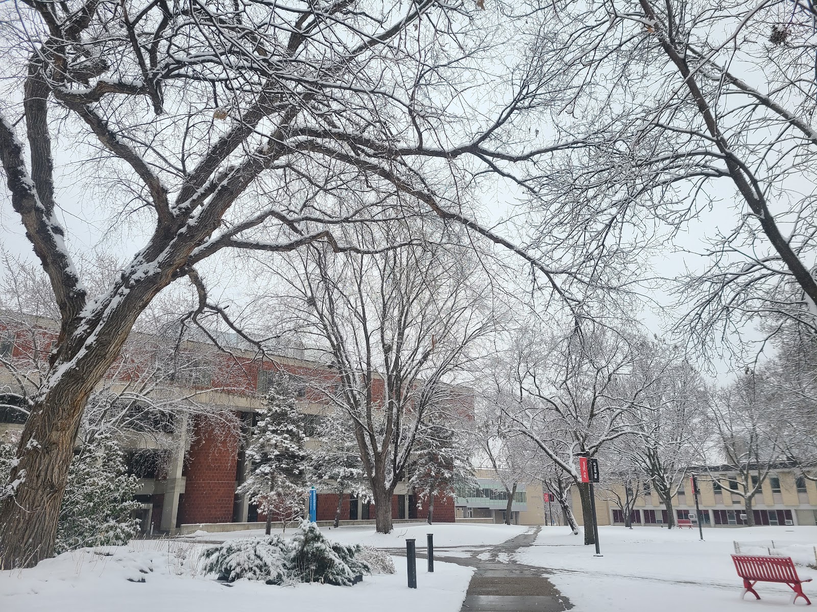 セントクラウド州立大学（Saint Cloud State University）（Saint Cloud、ミネソタ州）