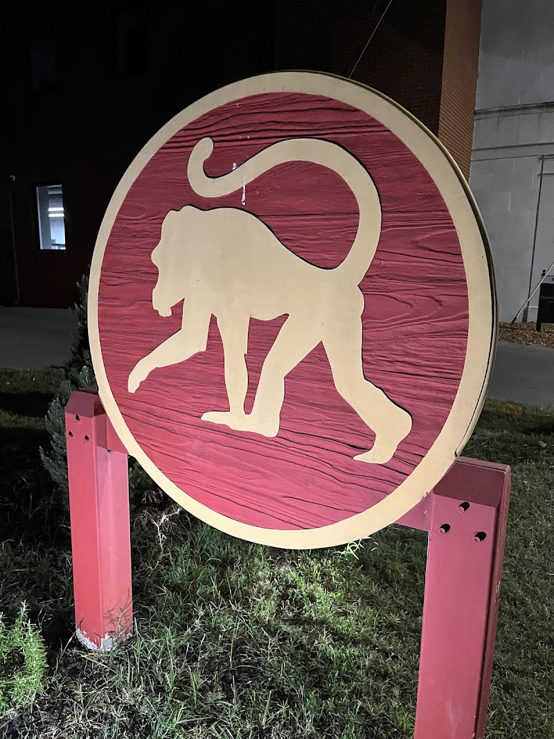 Frothy Monkey photo 4