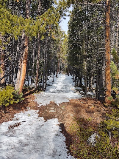 Silver Run Trailhead