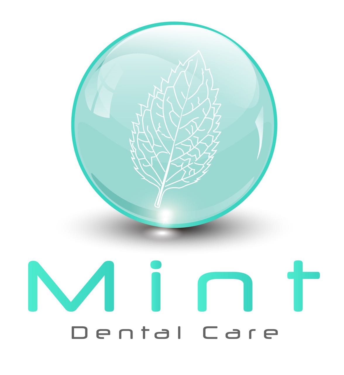 Dr.Reji Moideen- MINT DENTAL CARE LLC 3