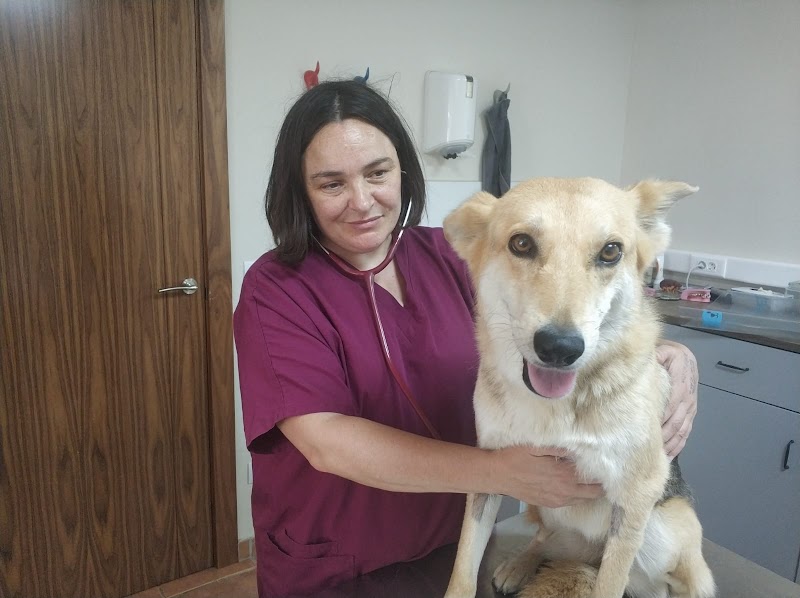 Can Exprés veterinario a domicilio