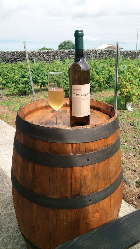 Adega D'Um Alqueire ,Vinho Verdelho dos Biscoitos