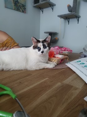 Namasvet - Veterinaria Especialista