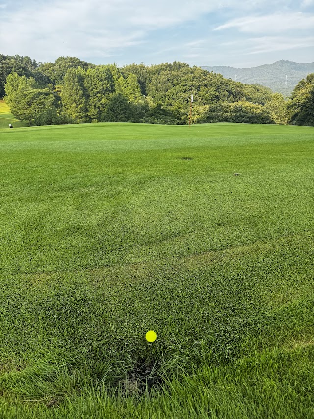 Heisei Club Hachigata Castle Course - Photo 1