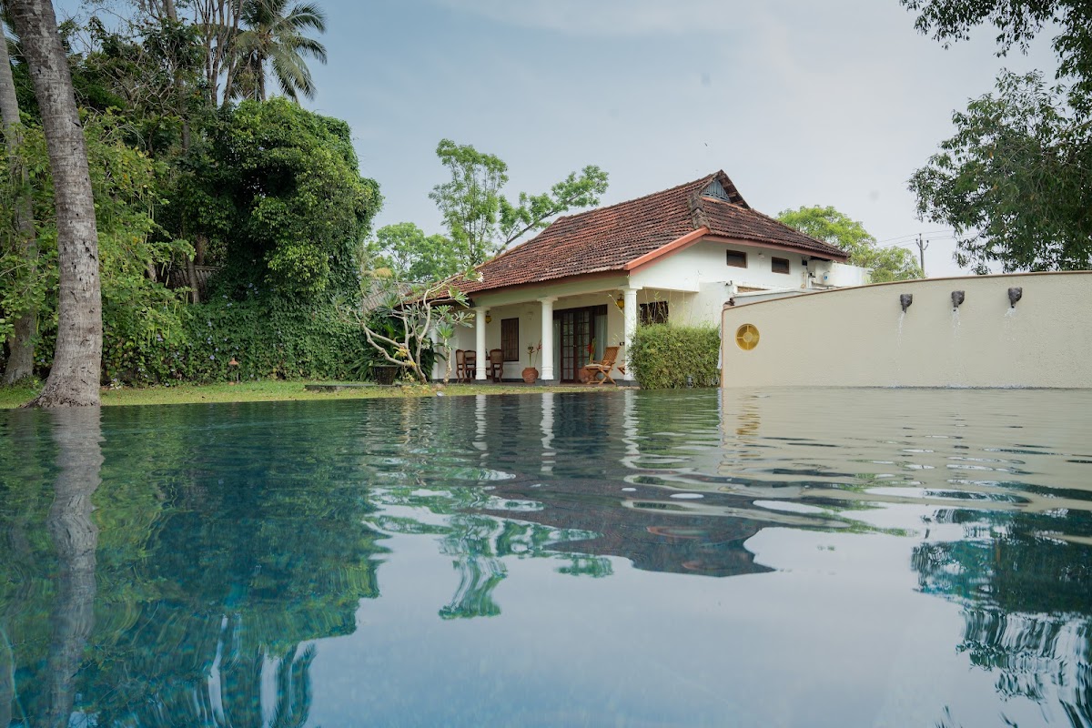 Olam. Kochi — 3