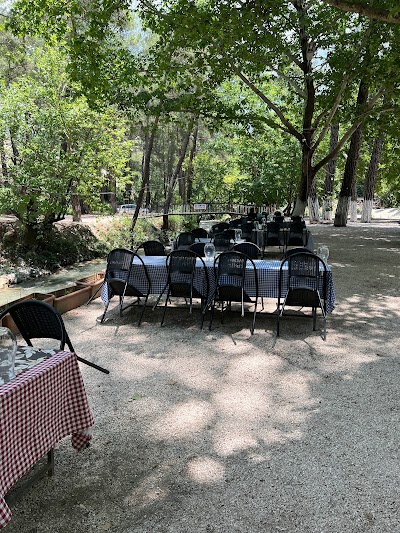 Altıntaş piknik restaurant - Restoran