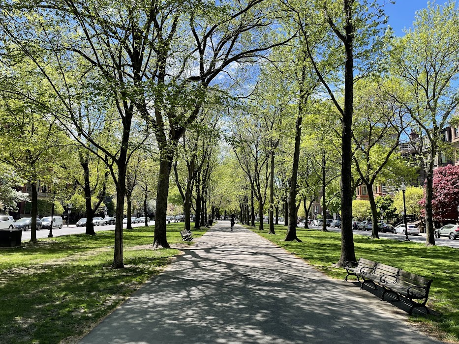 Commonwealth Avenue Mall fotoğraf 1