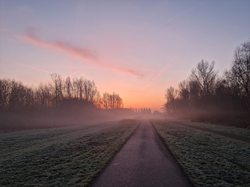 Venneperhout
