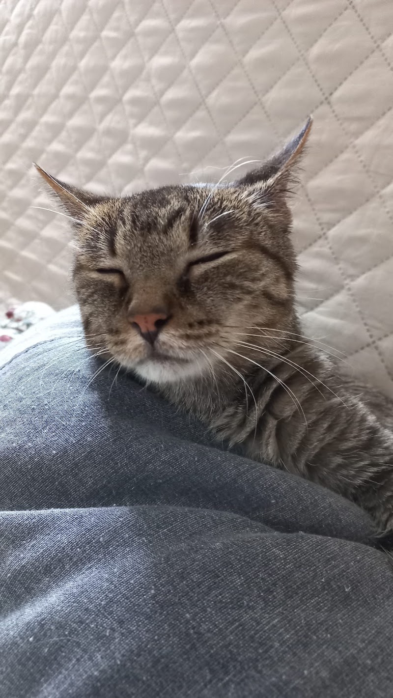 Clínica Veterinaria Asivet