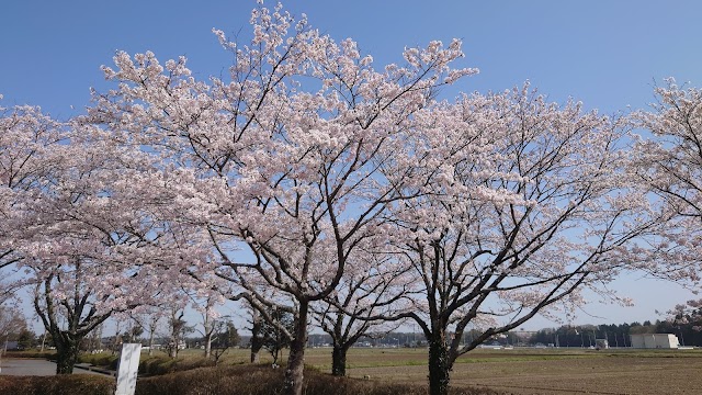 Tochigi Prefectural Golf Course Tochimaru Golf Club - Photo 7