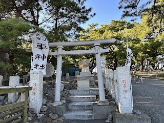 Miho no Matsubara photo