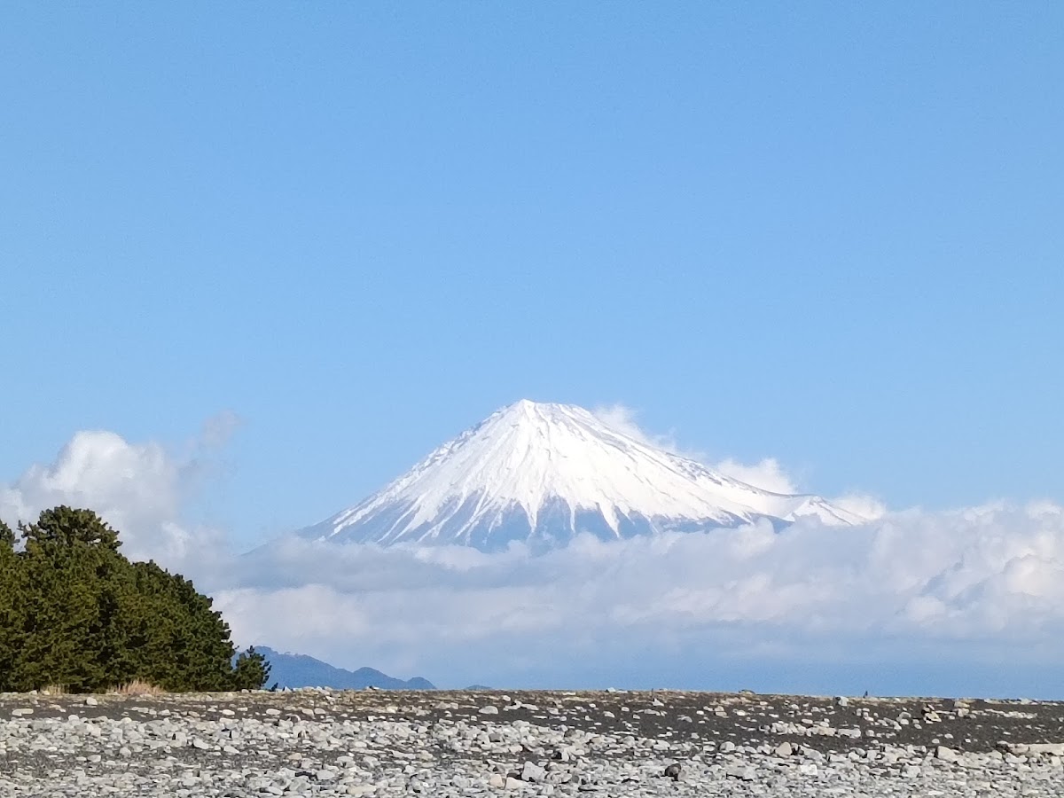 Miho no Matsubara photo