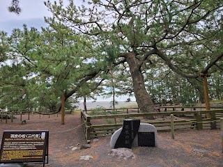 Miho no Matsubara photo