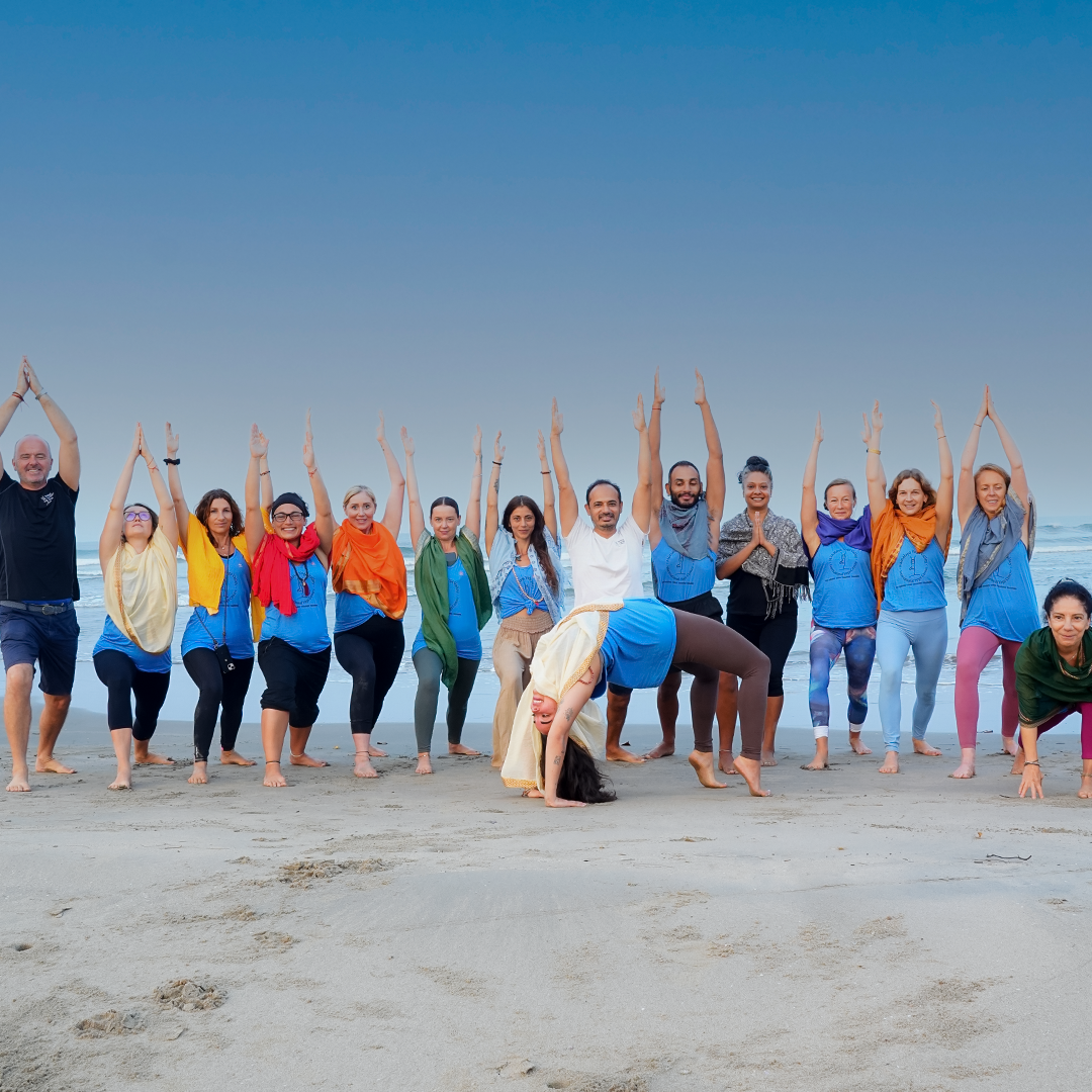 Himalaya Yoga Valley Goa - Yoga Teacher Training, India
