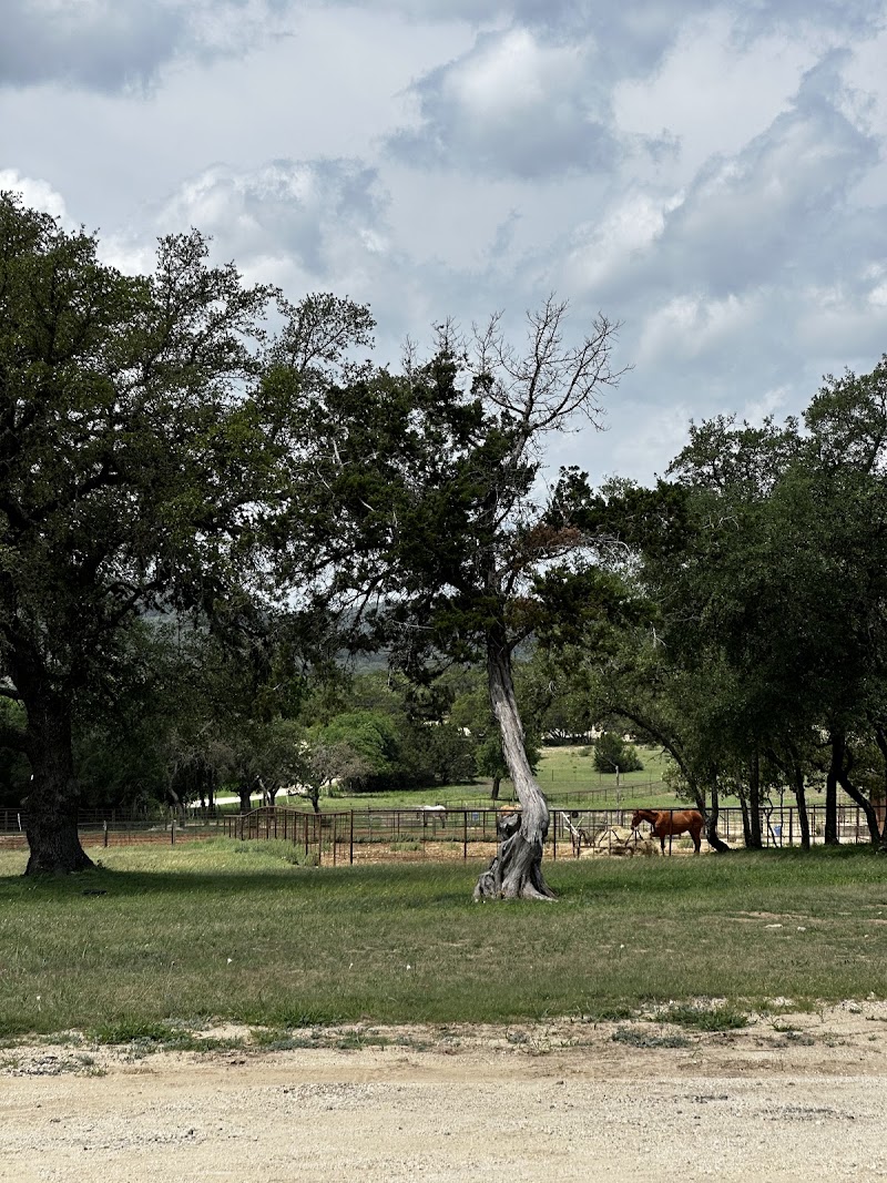Rancho Cortez - Photo 4