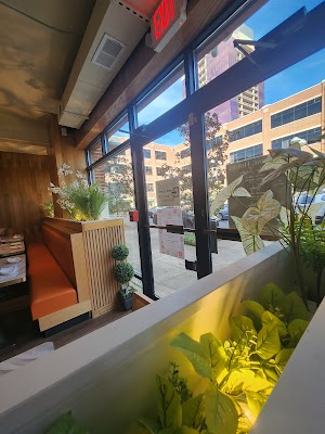 Sushi Taku - Charlotte photo 1