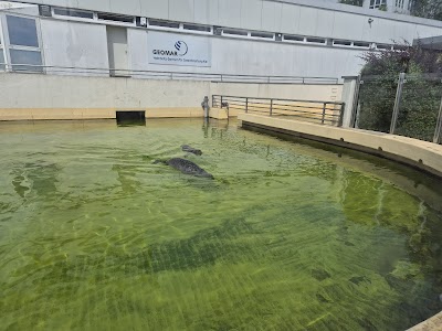 Seehundbecken