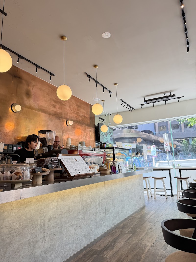 Tomo’s Little Collins photo 5