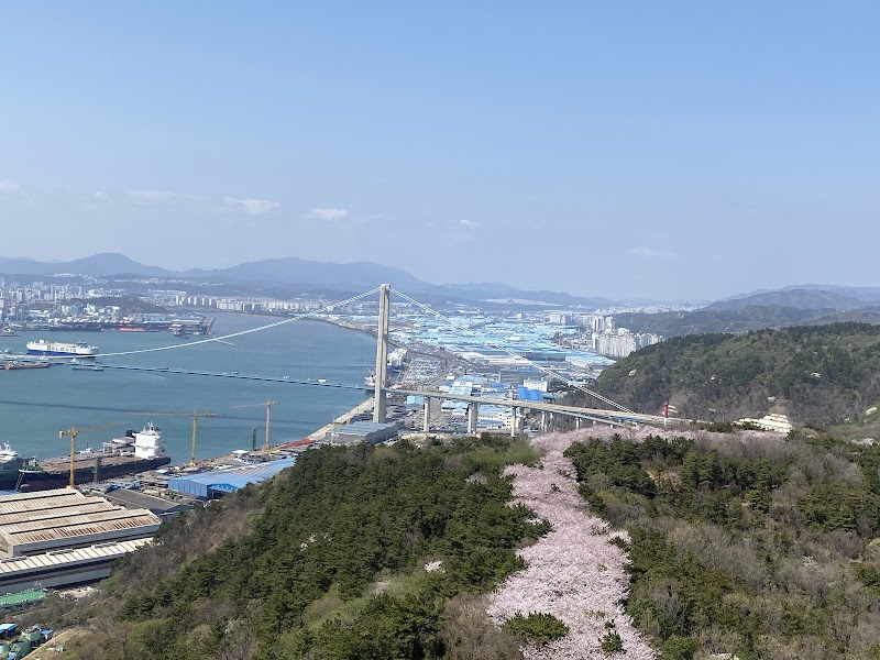 울산대교전망대 사진 3