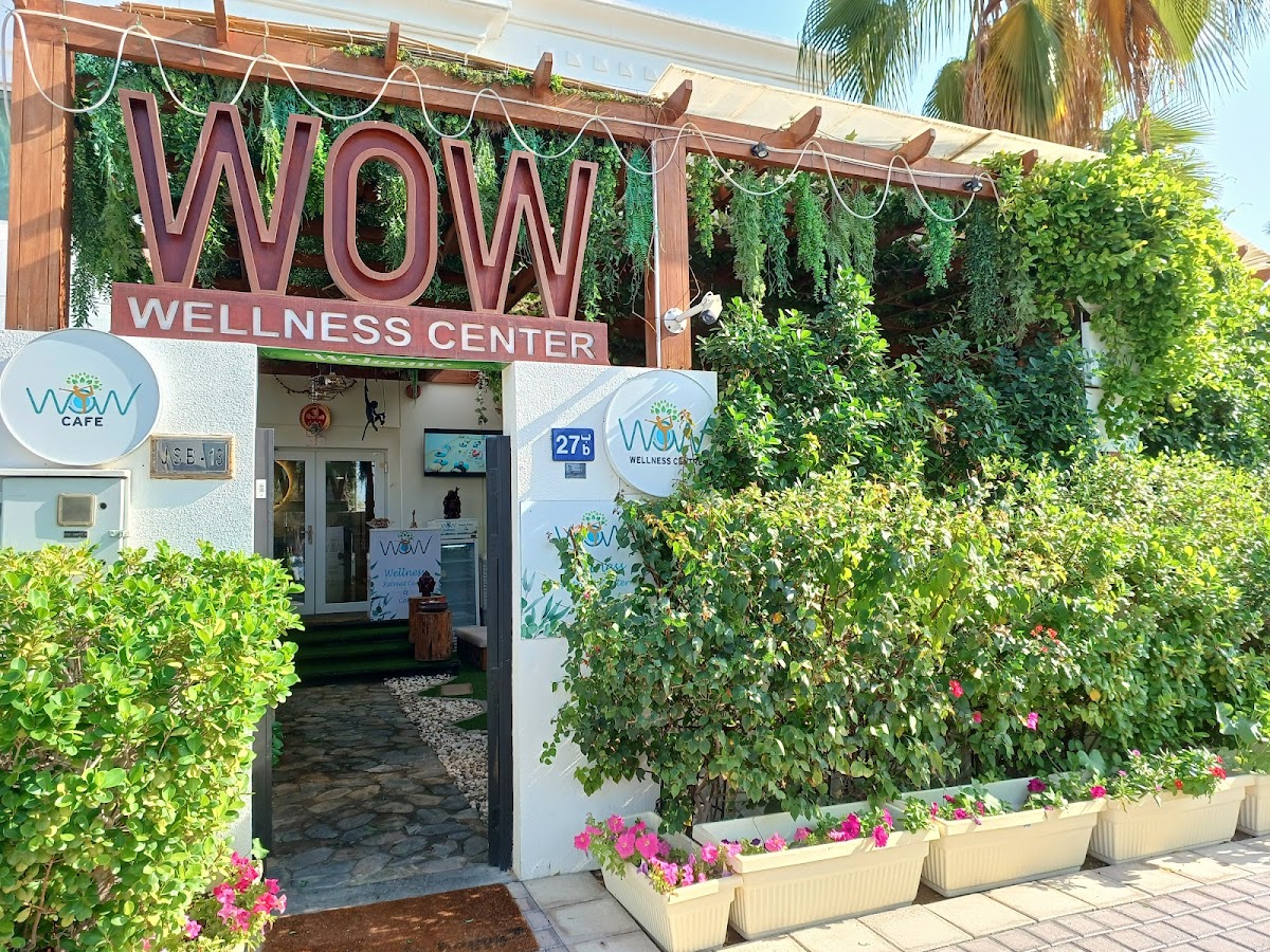 Wealth of Wellness Dubai — 4