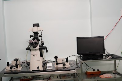 BABY’S LIFE HOSPITAL - Image 2