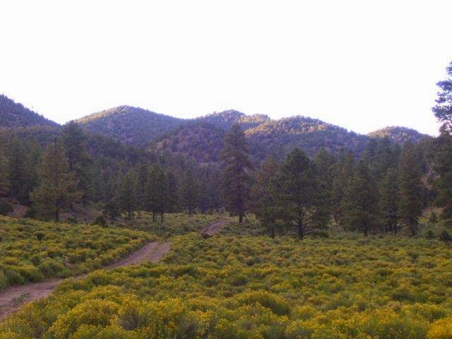 Top Notch Outfitters