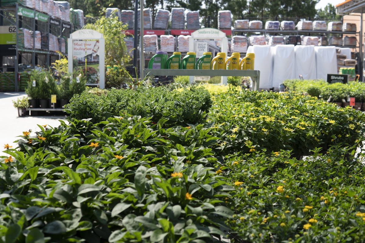 Garden Center at The Home Depot