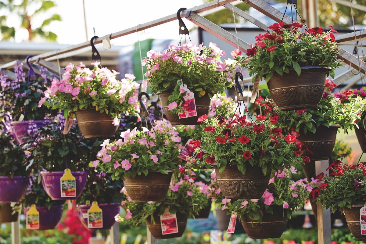 Garden Center at The Home Depot