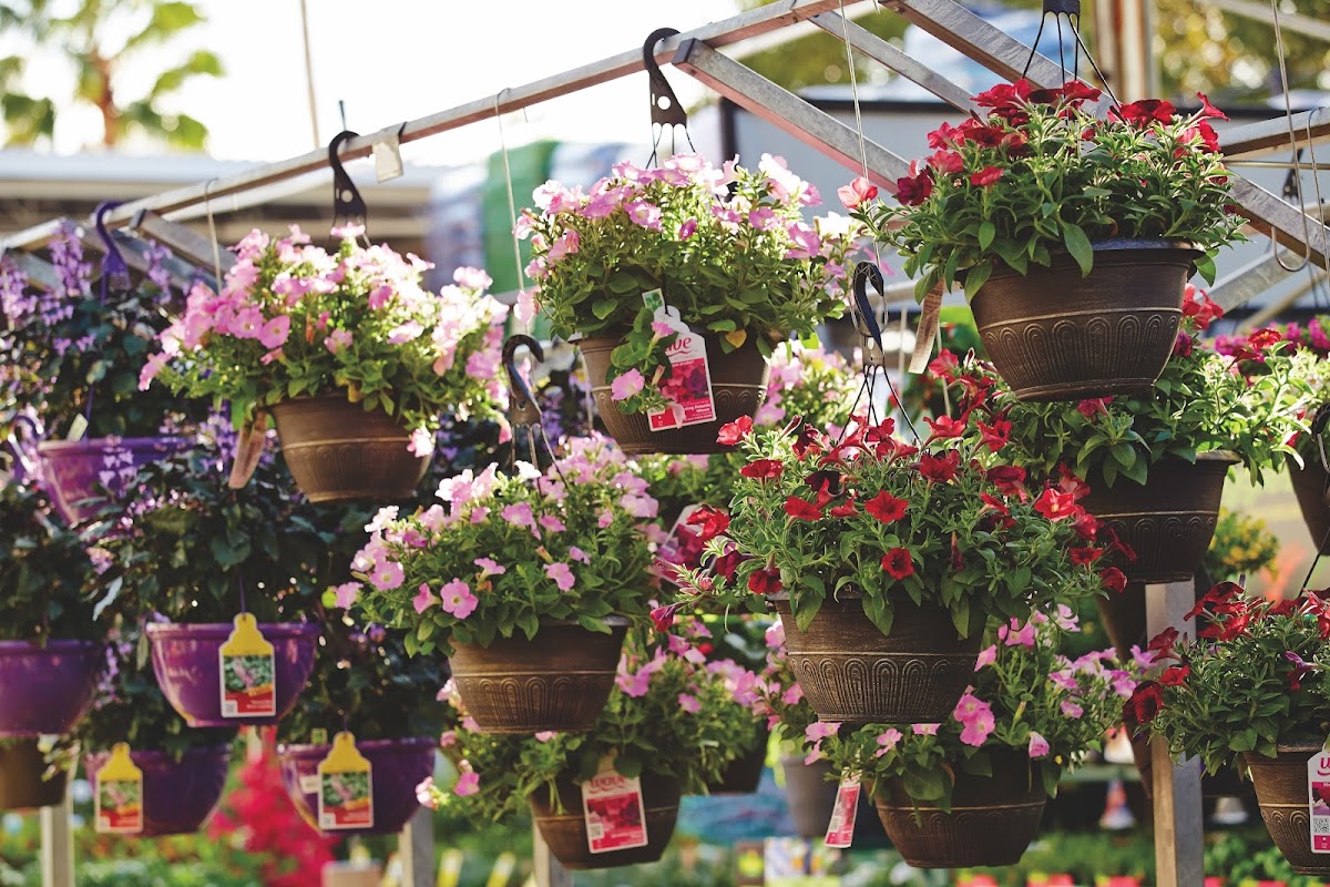 Garden Center at The Home Depot