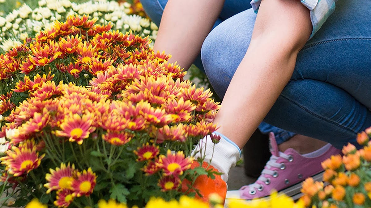 Garden Center at The Home Depot