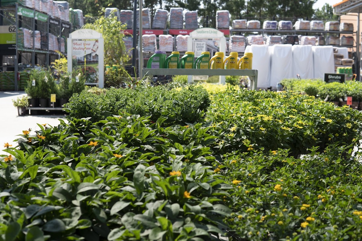 Garden Center at The Home Depot
