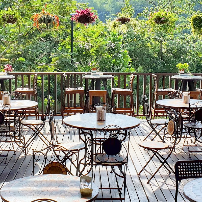 Whisk & Paddle (Punggol East / Riviera)