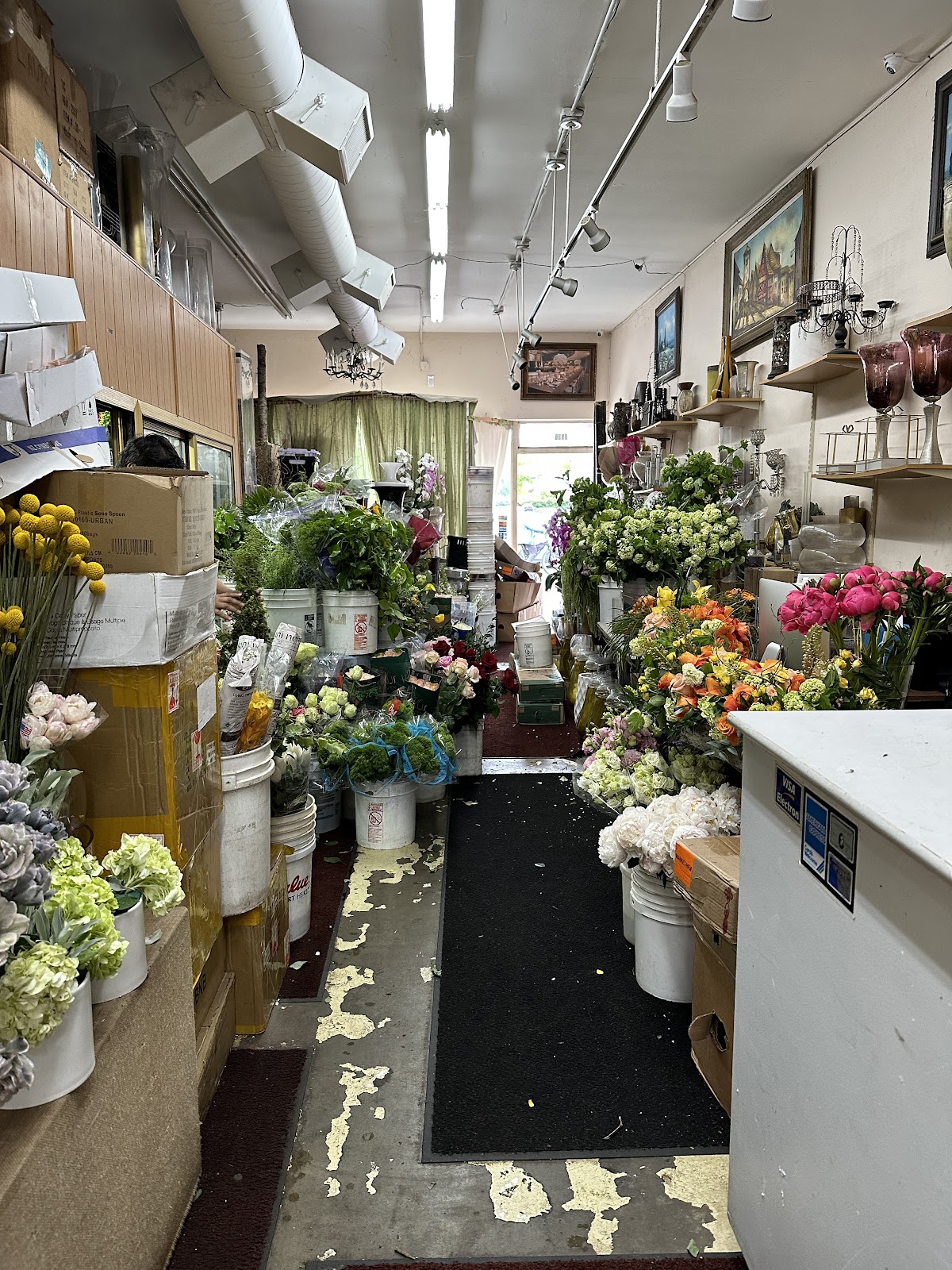 Beverly Blossoms: Google Places image 5