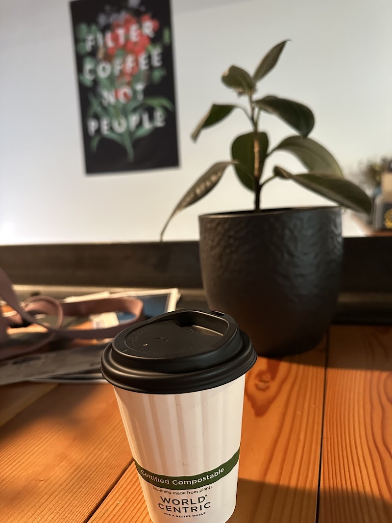 The Daily photo 4