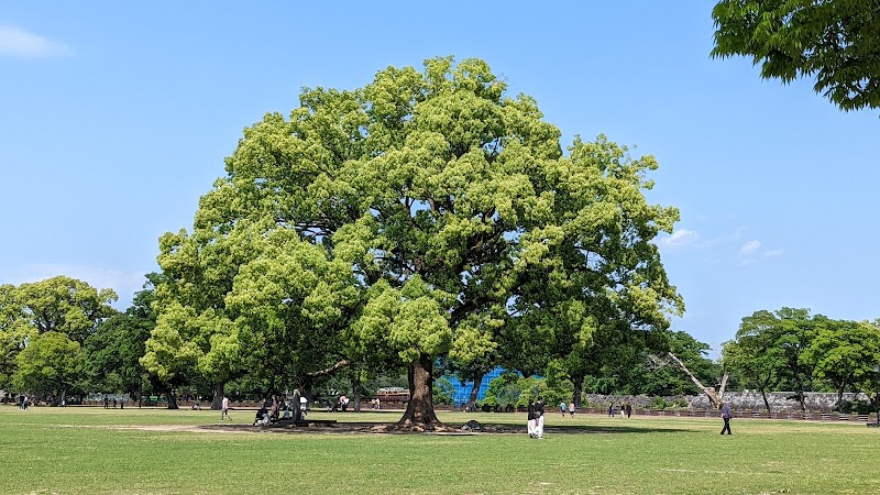 Kumamoto Castle Park (Ninomaru Hiroba) photo