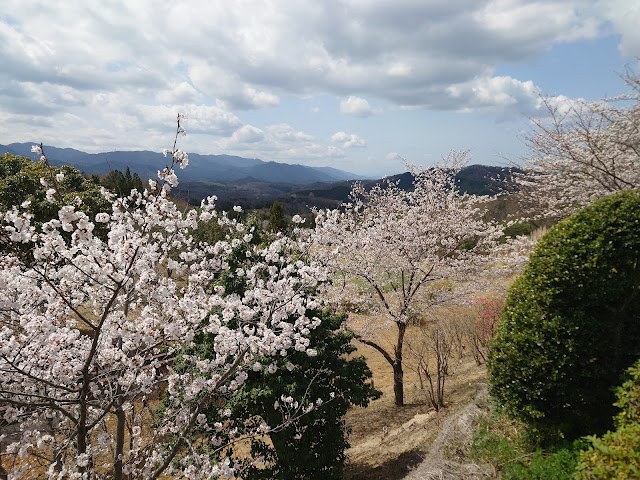 Manno Hills Country Club - Photo 8