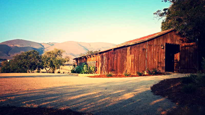 Nipomo Creek Farms