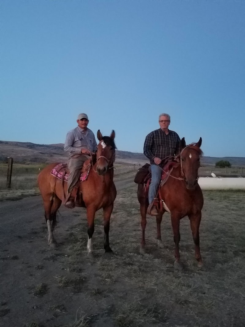 Cooke Canyon Hunt Club & Upland Dogs - Photo 4